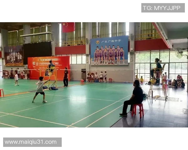 实时新闻南京羽毛球队与深圳羽毛球队赛后技术分析与战术总结